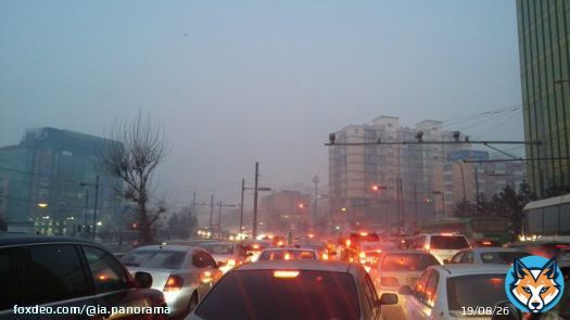 &laquo;Ожидали топовый экспириенс, но это просто дисгастинг&raquo;. Монголия не впечатлила мигрантов из Петербурга  Беженцы жалуются на долгую дорогу и отмечают: в Улан-Баторе не созданы условия для драг-юзеров, а кругом полно монголов, которые &laquo;чувствуют себя как дома&raquo;.
