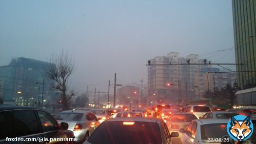 &laquo;Ожидали топовый экспириенс, но это просто дисгастинг&raquo;. Монголия не впечатлила мигрантов из Петербурга  Беженцы жалуются на долгую дорогу и отмечают: в Улан-Баторе не созданы условия для драг-юзеров, а кругом полно монголов, которые &laquo;чувствуют себя как дома&raquo;.