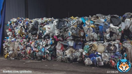 Белгородская область возглавила ТОП по жалобам жителей на вывоз мусора в праздники