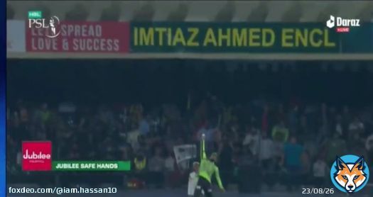 Sikandar Raza is putting his heart out for Lahore Qalanders today