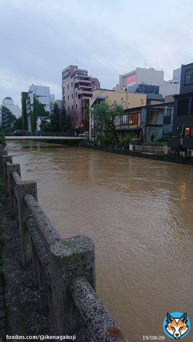 ４丁目橋 幾分水位は下がったもよう  #秋田市 #川反