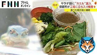 \u25c6サラダ カエル混入 サラダ麺に&ldquo;カエル&rdquo;混入 保健所が工場に立ち入り検査
