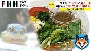 \u25c6サラダ カエル混入 サラダ麺に&ldquo;カエル&rdquo;混入 保健所が工場に立ち入り検査