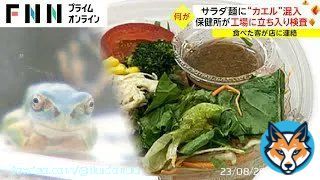 \u25c6サラダ カエル混入 サラダ麺に&ldquo;カエル&rdquo;混入 保健所が工場に立ち入り検査