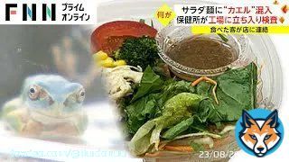 \u25c6サラダ カエル混入 サラダ麺に&ldquo;カエル&rdquo;混入 保健所が工場に立ち入り検査