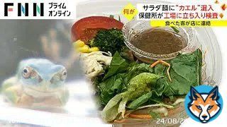 \u25c6サラダ カエル混入 サラダ麺に&ldquo;カエル&rdquo;混入 保健所が工場に立ち入り検査