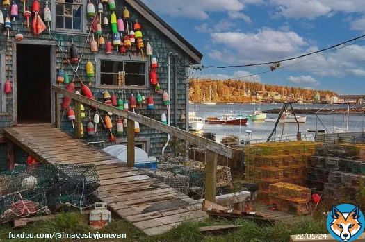 Art for the Walls! Photographed in Maine!  #Maine #harbor #fishinglife #artwork #art #artlover #landscapelovers #photooftheday #wallart #interiordesign #homedecor #amex #photographyislife #picoftheday #naturelovers