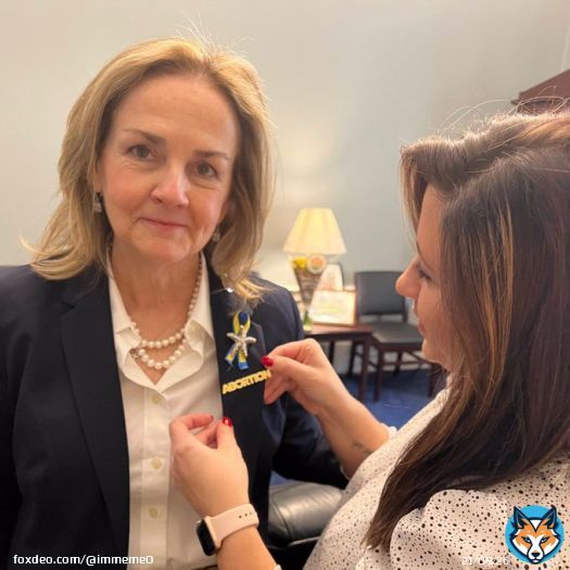 Democrats wearing abortion pins to the State Of The Union Address.