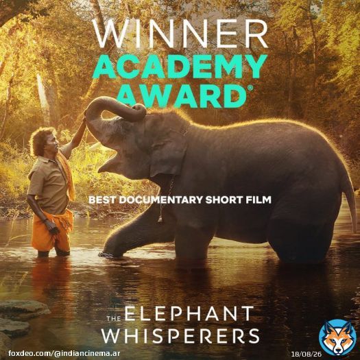 تهانينا!  فيلم the elephant whispers يحصل على جائزة الأوسكار كأفضل فيلم وثائقي قصير.  #Oscar #Oscar2023