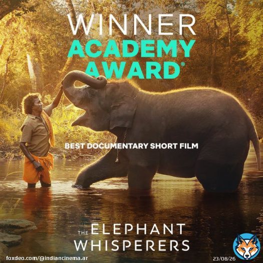 تهانينا!  فيلم the elephant whispers يحصل على جائزة الأوسكار كأفضل فيلم وثائقي قصير.  #Oscar #Oscar2023