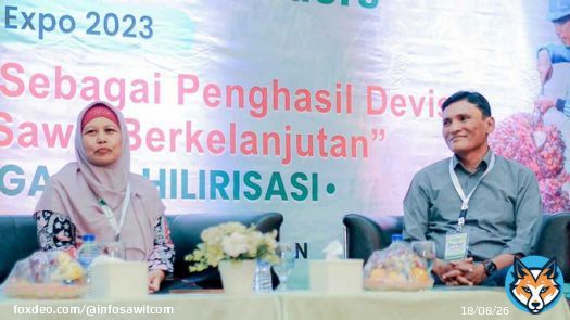 Inovasi Lidi dan Umbut Sawit, Jadi Peluang Bisnis Menarik Disela-sela Berkebun  #beritasawit #Sawit #palmoil #infosawitcom #infosawit #SawitRakyat #sobatani #SahabatKebun #indonesia #sustainablepalmoil #lidisawit #umbutsawit #sitckumbutsawit #SPKS