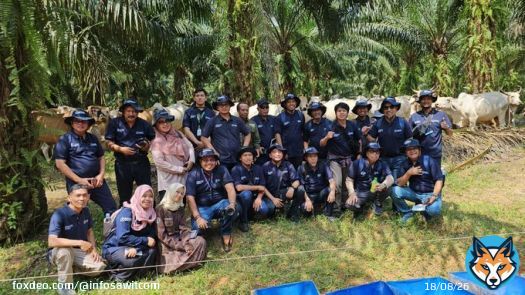 Stakeholder dan Sejumlah Dekan Peternakan Lakukan Field Visit Sawit Sapi di PT SISKA  #beritasawit #Sawit #palmoil #infosawitcom #infosawit #SawitRakyat #SahabatKebun #indonesia  #sustainablepalmoil #Siskaforum #PTSISKA #SawitSapi #Kementan #IPB #Centras