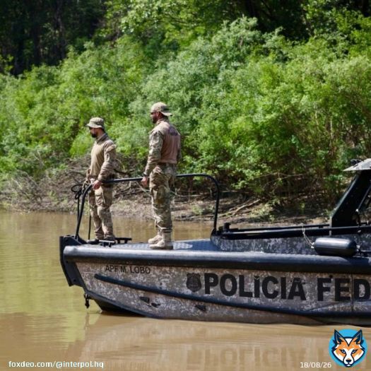 From combating illicit trafficking in wildlife and forestry, to tackling illegal gold mining and fisheries-related crimes, find out how Project Gaia is helping detect and stop environmental crime:
