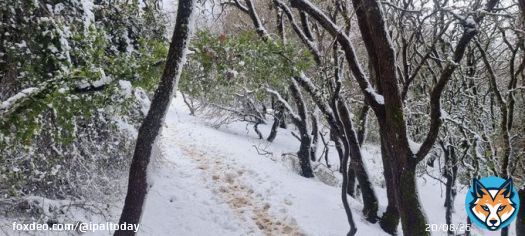Breathtaking views of snow-covered Mount Meron (Jabal al-Jarmaq) in 1948-occupied Palestine