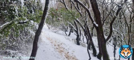 Breathtaking views of snow-covered Mount Meron (Jabal al-Jarmaq) in 1948-occupied Palestine