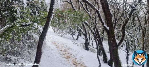 Breathtaking views of snow-covered Mount Meron (Jabal al-Jarmaq) in 1948-occupied Palestine