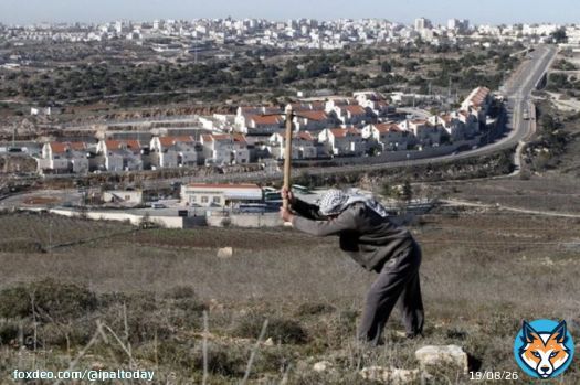 Israeli regime gives a green light to confiscate 7300m from Palestinian-owned lands in occupied Jerusalem for the construction of three 30-story settlement towers.   #EndIsraeliApartheid