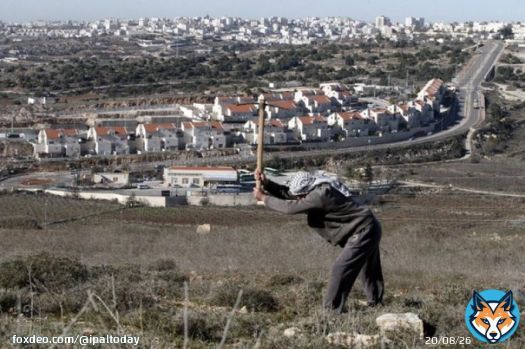Israeli regime gives a green light to confiscate 7300m from Palestinian-owned lands in occupied Jerusalem for the construction of three 30-story settlement towers.   #EndIsraeliApartheid