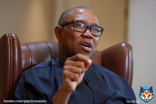 President Peter Obi, leader with Empathy. Nigerians love and desire you sir&hellip;