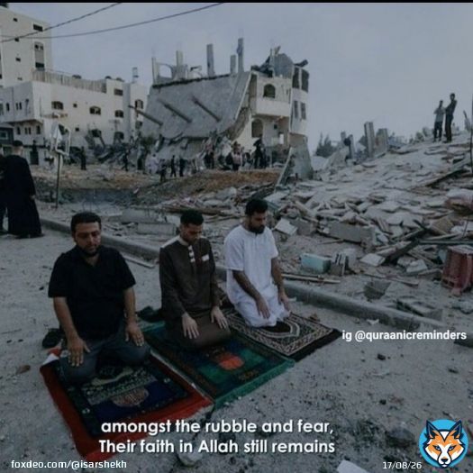 Keep Turkey and Syria in your prayers. A new earthquake measuring 6.4 just occurred followed by aftershock. My heart goes out to all involved. May the Almighty protect the people in the region. Aameen.#turkeyearthquake2023
