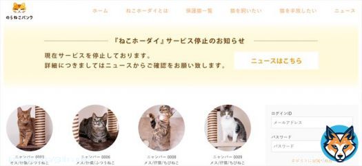 「猫のサブスクか」との批判が寄せられていました  物議を醸した「ねこホーダイ」、サービス停止を発表　想定を大きく上回る会員登録があったため