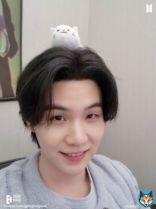 ok desse aqui n&atilde;o tem como fugir mas ainda acho ele bem tubar&atilde;o baleia talvez seja pq os dois s&atilde;o meus favsQuote