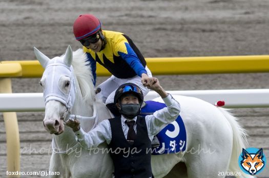 Sodashi with jockey Hayato Yoshida won Victoria Mile. #ソダシ #吉田隼人  #ヴィクトリアマイル