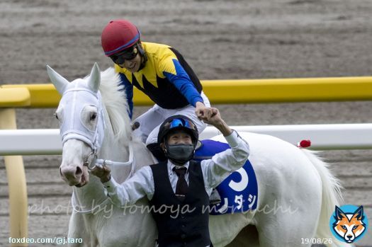Sodashi with jockey Hayato Yoshida won Victoria Mile. #ソダシ #吉田隼人  #ヴィクトリアマイル
