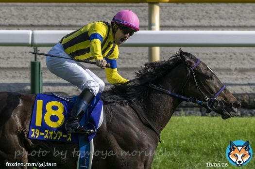 Stars on Earth with jockey Christophe Lemaire won Yushun Himba (Japanese Oaks). #スターズオンアース  #ルメール騎手  #オークス