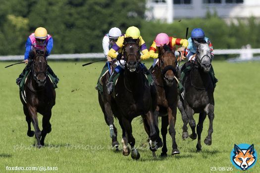 North Bridge with jockey Yasunari Iwata won Epsom Cup. #ノースブリッジ  #岩田康誠  #エプソムカップ