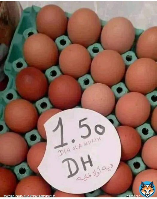 البيض سلعة قابلة للتلف بسرعة يعني كتفسد. والإنتاج في الضيعات يكون بكثرة والدجاج لي يعطي البيض يستهلك الكثير من العلف يعني إذا تمت مقاطعته لأسبوع كامل من طرف الجميع غيولي البيض رخيص بزااف المقاطعة هي الحل   #لا_لغلاء_الاسعار_بالمغرب  #اخنوش_ارحل