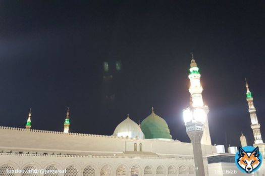 Visiting him (salla-llahu alayhi wa alihi wasalam) is a cause of success and profit for the people of sincere and pure hearts.  By it you will attain everything you wish for in your religious and worldly affairs and all fear and harm will be removed.- Imam al-Haddad