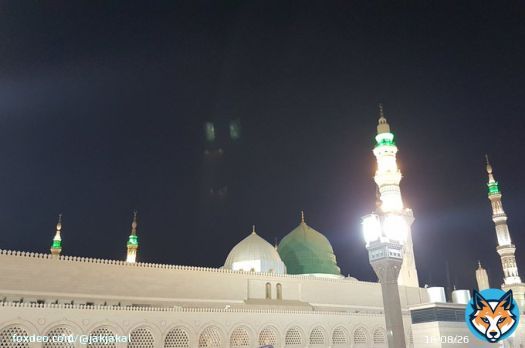 Visiting him (salla-llahu alayhi wa alihi wasalam) is a cause of success and profit for the people of sincere and pure hearts.  By it you will attain everything you wish for in your religious and worldly affairs and all fear and harm will be removed.- Imam al-Haddad