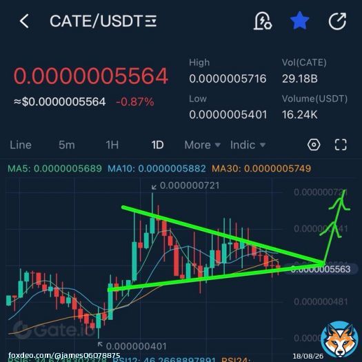 #catecoin breakout soon   Mimic of shib and doge 100x rally&rsquo;s   #shib #doge #eth #bitcoin #Cryptocurency #bullish #100xgem #1000xgem #memecoin #floki #elon #binance