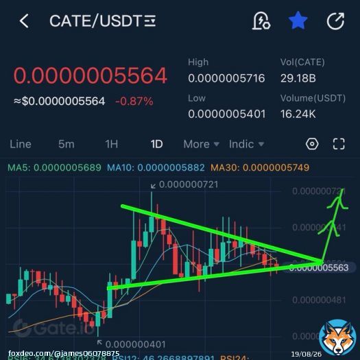 #catecoin breakout soon   Mimic of shib and doge 100x rally&rsquo;s   #shib #doge #eth #bitcoin #Cryptocurency #bullish #100xgem #1000xgem #memecoin #floki #elon #binance