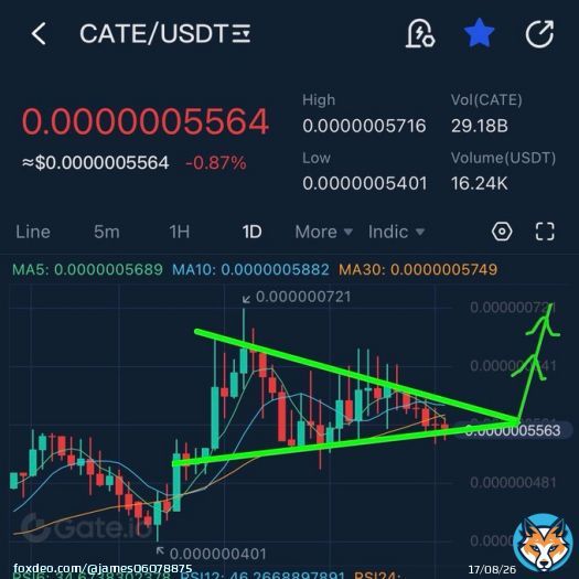 #catecoin breakout soon   Mimic of shib and doge 100x rally&rsquo;s   #shib #doge #eth #bitcoin #Cryptocurency #bullish #100xgem #1000xgem #memecoin #floki #elon #binance