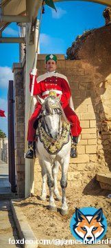 Horsey chap.  - Hassan Tower, Rabat