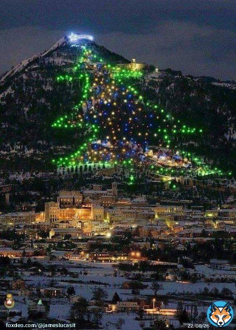 L'albero di Natale pi&ugrave; grande del mondo si trova a Gubbio, in Umbria.