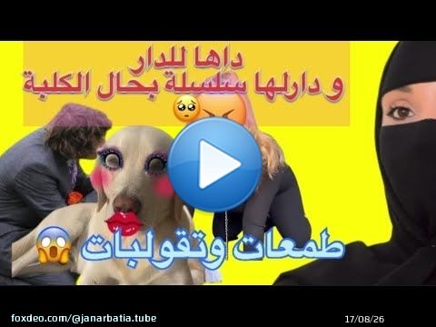 طمعات فلفلوس وداها لدار دارلها سلسلة بحال الكلبة ووكلها ماكلة الكلاب \ud83d\udc29