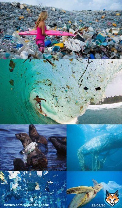 #plasticpollution #pollution #spermWhales #humpbackWhales #Dolphins  A man made problem that's killing our oceans and marine life.