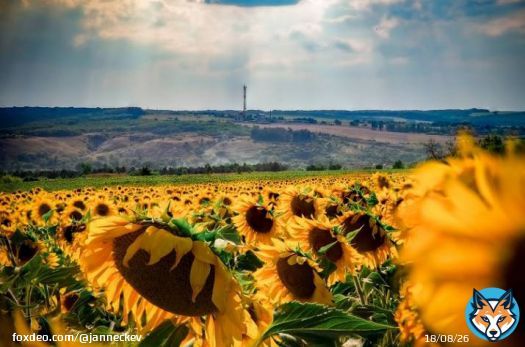 #Рубіжне , #Сєвєродонецьк , #Попасна , #Лисичанськ courageously hold on and endure. Luhansk region is Ukraine.   #UkraineWillWin  #UkraineWillResist  #StopRussia  #ArmUkraineNow  #StandWithUkraine