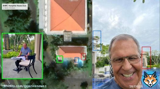 Расследователь Bellingcat Тимми Аллен утверждает, что Лошадь все же был госпитализирован. В качестве доказательства он привел сравнение фотографий главы российского МИДа и спутниковых снимков госпиталя в Нуса-Дуа на индонезийском острове Бали, где сейчас проходит саммит G20.