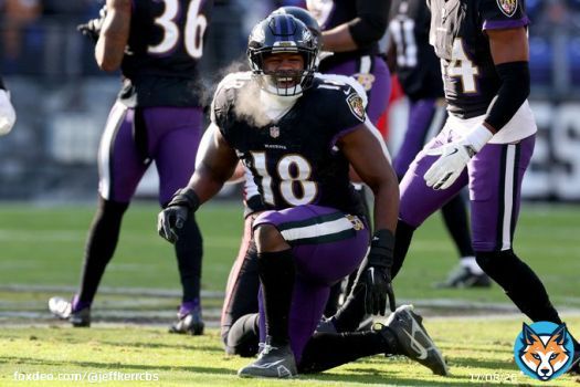Only 2 players in #NFL history have 100+ tackles, 2+ sacks, and 1+ INT in each of their first 5 seasons.  Roquan Smith Ray Lewis  #Ravens #RavensFlock