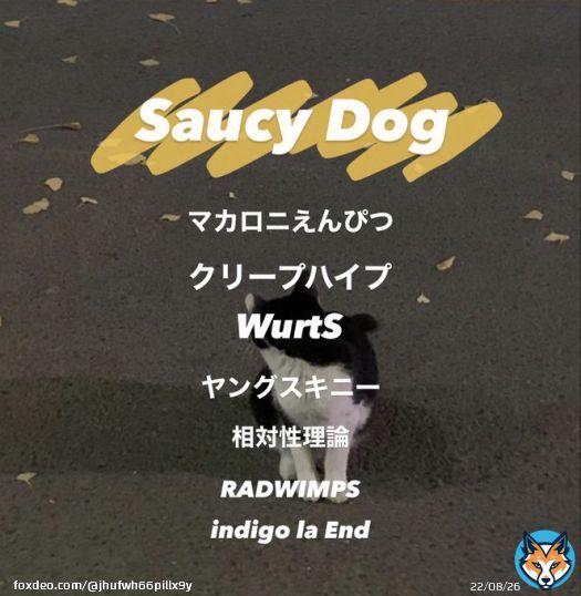 一緒にいるのに独り抱え込まないで    #邦ロック好きな人と繋がりたい  #日曜日だし邦ロック好きな人と繋がりたい  #さうしー  #愛知   #クリープハイプ  #愛知  #マカロニえんぴつ   #邦ロック  #サウシードッグ