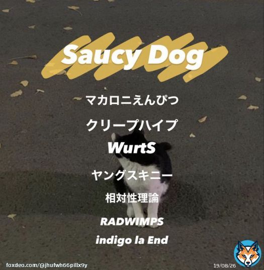 一緒にいるのに独り抱え込まないで    #邦ロック好きな人と繋がりたい  #日曜日だし邦ロック好きな人と繋がりたい  #さうしー  #愛知   #クリープハイプ  #愛知  #マカロニえんぴつ   #邦ロック  #サウシードッグ
