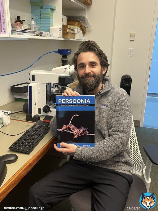 Just put my hands on the current issue of Persoonia, featuring my photo on the cover and an article with @CharissaB proposing 2 new genera of mycoparasites associated with the zombie-ant fungus Ophiocordyceps camponoti-floridani