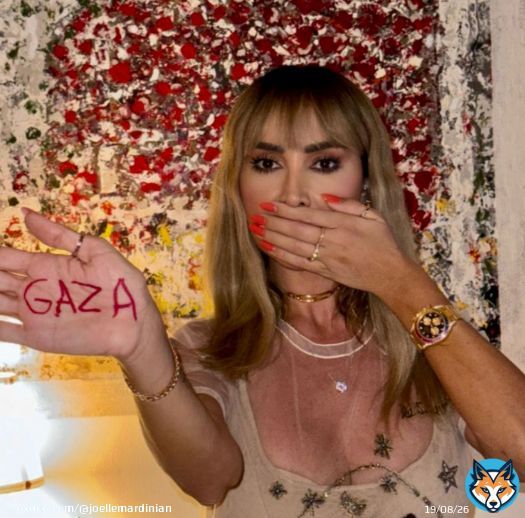 #wewontbesilenced #freepalestine #endwar #endoccupation #ceasefirenow\ud83c\uddf5\ud83c\uddf8 #joellemardinian #palestine