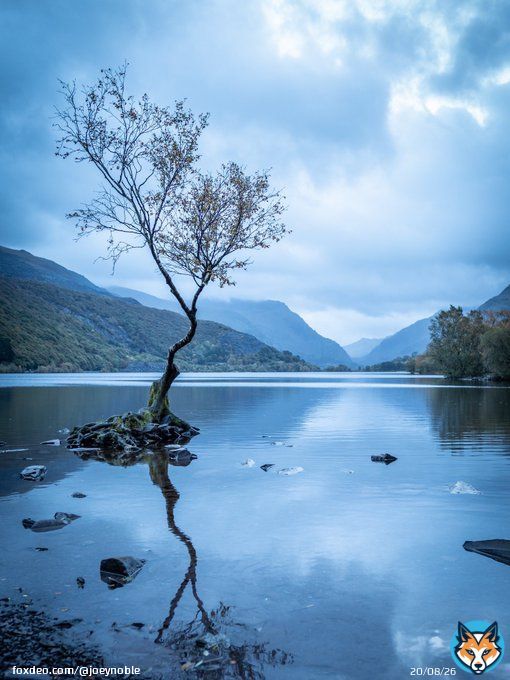 I say pah! to #BlueMonday !! This is my version of blue Monday! Let&rsquo;s share our favourite blue photographs to bring a smile!! These are some of mine!   #photography #photo #smile #blue #photographyastherapy