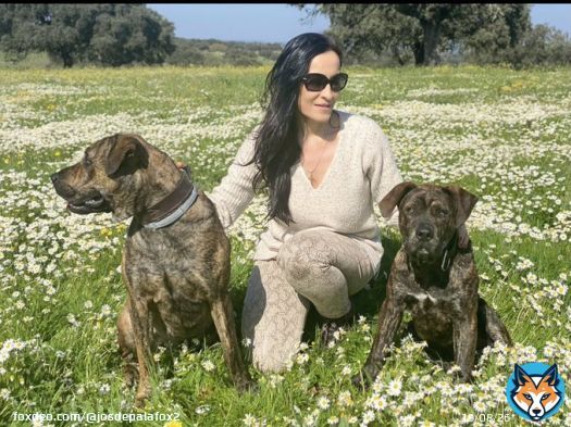 @malenanevado : Diputada de @VOX_Congreso por C&aacute;ceres.  Amante de la Naturaleza,el Campo y sus perros.  Pero los par&aacute;sitos comunistas @ionebelarra calumnian que los de VOX maltratamos a los perros.  Ellos s&iacute; que van a acabar con el Mundo Rural! #TeamVox  #ComunismoEsMiseria