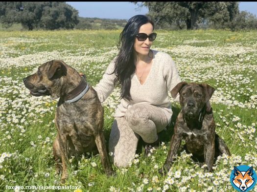 @malenanevado : Diputada de @VOX_Congreso por Cáceres.  Amante de la Naturaleza,el Campo y sus perros.  Pero los parásitos comunistas @ionebelarra calumnian que los de VOX maltratamos a los perros.  Ellos sí que van a acabar con el Mundo Rural! #TeamVox  #ComunismoEsMiseria